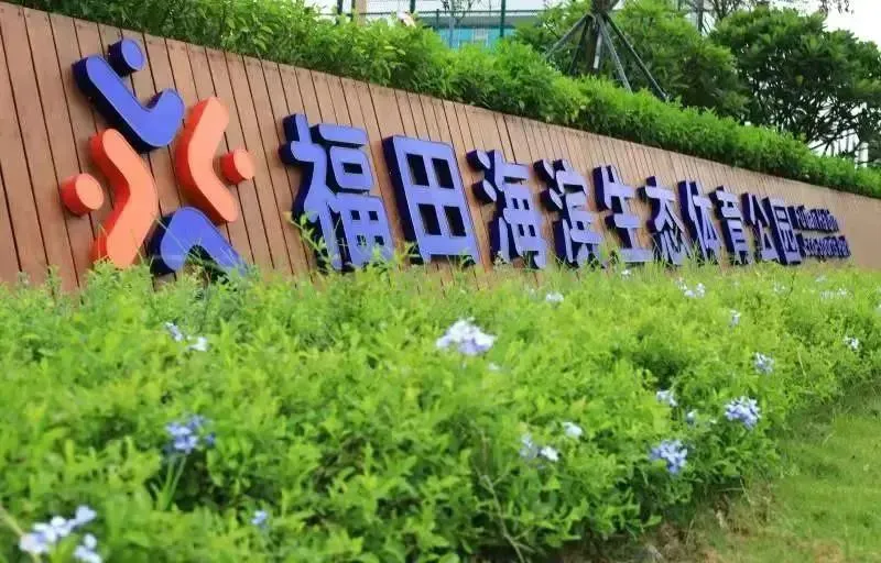 哪里可以找到关于篮球心理训练的资源_1
